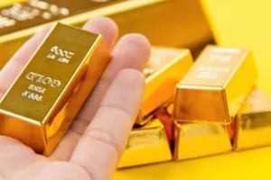 Șoc în curtea unui francez. Monede și lingouri de aur au fost descoperite la săpatul piscinei