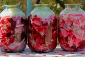 Rețeta de varză murată cu sfeclă roșie: Crocantă, sănătoasă și plină de savoare