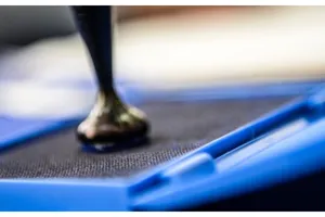 Bucureștenii își aleg viitorul Primar general. Aproape 1,8 milioane de alegători sunt așteptați la urne