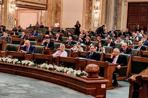 Senatul a adoptat accelerarea plăților către furnizorii de energie pentru schemele de plafonare