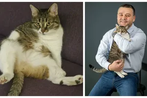 Ea este Șefa de la Primăria Sectorului 6! Adoptată de Ciprian Ciucu, a devenit rapid răsfățata instituției