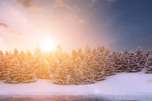 Temperaturi neobișnuit de ridicate în România, cu soare în majoritatea regiunilor și maxime de până la 15 grade