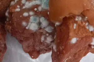 Mucegai, carne stricată și gândaci în bucătării. Controalele ANPC au închis 40 de firme și au adus amenzi de aproape 6 milioane de lei