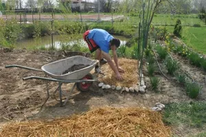 Grădinăritul în România în 2026. Bugetul pentru o grădină de 300 mp depășește 2.500 de lei