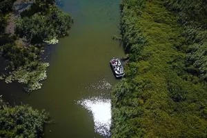 Peștele din Delta Dunării se scumpește. Pescarii, presați de costuri și capturi slabe