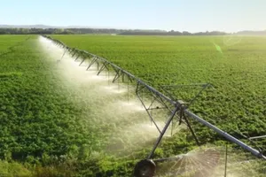 Fraudă uriașă cu fonduri europene în agricultură. EPPO investighează sute de proiecte în România