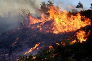 Grecia, în alertă portocalie: Peste 60 de incendii au izbucnit în ultimele 24 de ore în toată țara