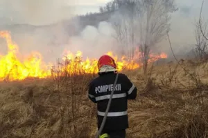 Val de incendii în Dolj. Peste 40 de hectare de vegetație, miriște și culturi agricole, afectate în doar două zile