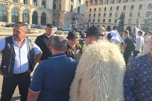 Protestul oierilor s-a mutat la Guvern după incidentele de la ANSVSA