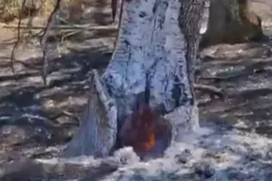Misterul focului care arde de un an sub pământ, în Lunca Mureșului. Pompierii nu reușesc să stingă focarul