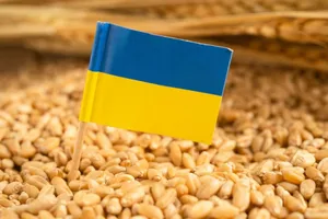 LAPAR cere control strict pentru cerealele ucrainene: „Nu putem lăsa tranzitul să blocheze agricultura și logistica României”