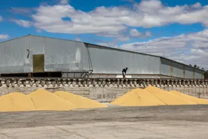 Blocada de facto a porturilor Odesa lovește agricultura ucraineană. Sute de milioane de dolari pierdute lunar