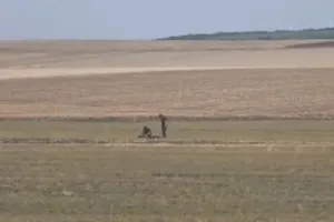Alertă în Vaslui: O dronă cu explozibil a fost găsită pe un câmp, la doar 30 de kilometri de granița cu Republica Moldova
