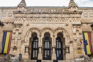 Senatul schimbă regulile pentru lucrările academice cumpărate. Poliția va putea fi sesizată de orice persoană