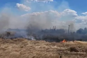 Incendiu de vegetație în Vrancea: Flăcările au cuprins aproximativ 10 hectare