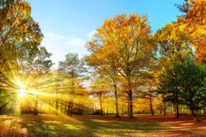Toamna își intră în drepturi în București. Temperaturi de până la 23 de grade și vânt puternic