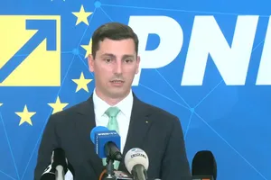 Ionel Bogdan: PNL ia în calcul să voteze guvernul Niculescu, dar să rămână în Opoziție