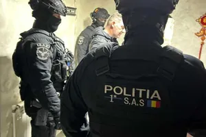 Percheziții DNA la Permise Ilfov: Polițiști și angajați ai școlilor de șoferi, suspectați că luau mită pentru examene și înmatriculări