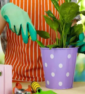 Pune în ghiveciul cu plante părul care îți cade. Rezultatul este uimitor! Trucul pe care trebuie să îl știe orice româm