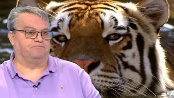 Horoscop chinezesc 2025-2026: Marian Golea anunţă schimbări, nu există perioada „lapciun”, de abundenţă şi echilibru între ani