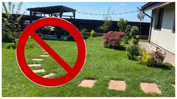 Amendă de 1500 de lei pentru românii care stau la curte. Este interzis să faci asta primăvara