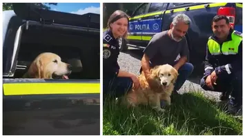Imagini emoționante! Un câine dat dispărut s-a reîntâlnit cu stăpânii săi după doi ani – VIDEO