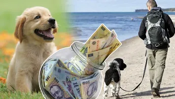 Câţi bani primeşti „să tai frunze la câini” în timpul liber. Se triplează salariul de la primul job!
