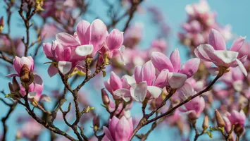 Prognoza meteo Accuweather pentru aprilie. Meteorologii anunță temperaturi nemaiîntâlnite