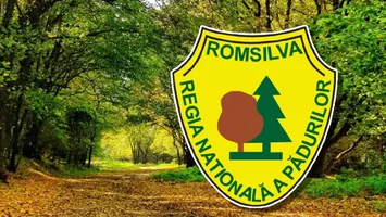 Șefii Romsilva se apără în scandalul sporurilor și al bonusului de 100.000 de euro la pensionare. ”Ne-a făcut mult rău”. Cât ar încasa, de fapt, directorii și angajații regiei