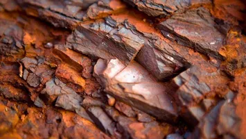 Descoperirea secolului! Zăcământul de 55 de miliarde de tone ar putea urca această ţară în topul marilor puteri economice
