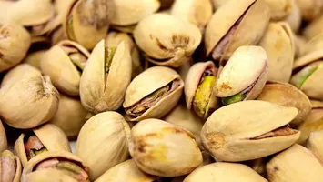 Cum poate fi cultivat fisticul în România. Sfaturile agricultorilor pentru o cultură bogată