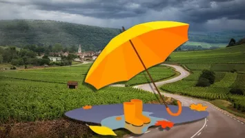 Prognoza meteo 29 mai. Cât va mai ploua în România