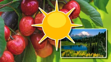 Weekend cu vreme rece, cu ploi şi vânt. La munte va ninge. Când se înclăzește. Prognoza meteo pentru 19 mai – 16 iunie 2025