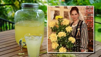 Socată delicioasă care amintește de gustul copilăriei. Trucul Gherghinei Stancu