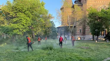 Hotărârea care a înfuriat timișorenii. Cetățenii trebuie să tundă iarba de pe domeniul public