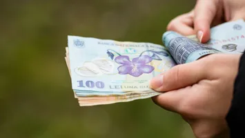 Pe ce cheltuie românii bani. Cât a încasat, în medie, o gospodărie, în 2024, şi cât a cheltuit