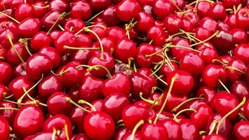 Cum să scapi de viermii din cireșe și ce pățești dacă mănânci unul. Metoda tradițională folosită pentru un fruct gustos, fără larve