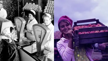 Fructul românesc din Epoca de Aur care a dispărut de pe tarabe. Avea un gust deosebit de dulce și intens