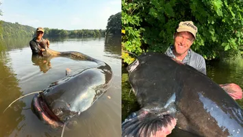 Un pescar s-a chinuit 35 de ani, dar a capturat cel mai mare somn din Cehia, de 2,72m lungime și 130 de kilograme: „Nu mi-aș fi putut imagina”