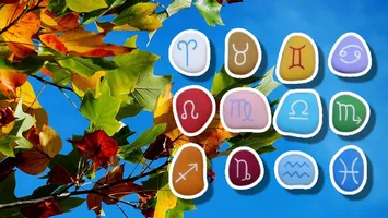 Horoscop rune 27 ianuarie 2026. EHWAZ, runa calului cu 8 picioare, anunţă bătălii grele la job. Atenţie la ISA, vine cu obstacole!