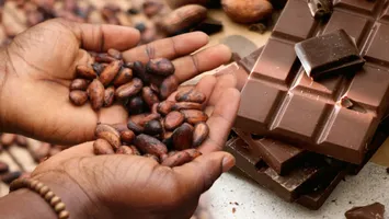 Piața dulciurilor, puternic afectată de scumpirea boabelor de cacao. Ciocolata, tot mai des înlocuită cu creme de fructe