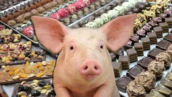 Pralinele cu urechi de porc au făcut furori la Târgul de Ciocolată de la Iași. Sortimentele neobișnuite aflate pe lista evenimentului