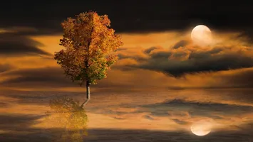 Horoscop 27 noiembrie 2025. Răscruce de drumuri pentru o zodie, provocări la job pentru alta şi multe planuri de Sărbători