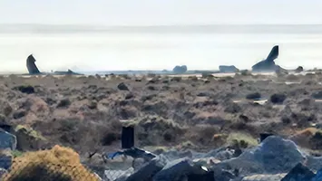 Avion prăbuşit, momentul impactului la sol a fost filmat: „Mi s-a strâns inima” VIDEO