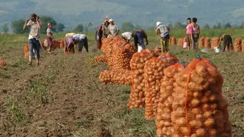 Bani de la Guvern pentru fermierii români. Proiectele pot fi depuse din ianuarie 2026
