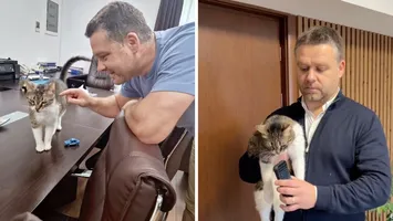 Jessy rămâne „regina” Primăriei Sectorului 6: Ciprian Ciucu dezvăluie soarta pisicii devenită virală pe rețelele de socializare