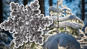 Vreme de primăvară de Crăciun şi Revelion. Temperaturi de -20 de grade Celsius la polul frigului din România