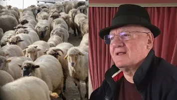 Dumitru Dragomir dezvăluie că patima jocurilor de noroc i-a adus și bucurii: „Am câștigat 80 de oi, un măgar și un câine la o partidă de poker”