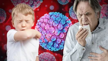 Norovirusul face prăpăd! Focarul de „supergripă” din Marea Britanie ar putea porni o nouă pandemie catastrofală: școlile au început să fie închise, numărul internărilor în spitalele din Londra s-a triplat, iar oamenii sunt sfătuiți să poarte măști