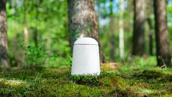 Schimbare majoră în industria funerară: Sicriul din ciuperci care se cultivă ca o plantă și se descompune în 45 de zile